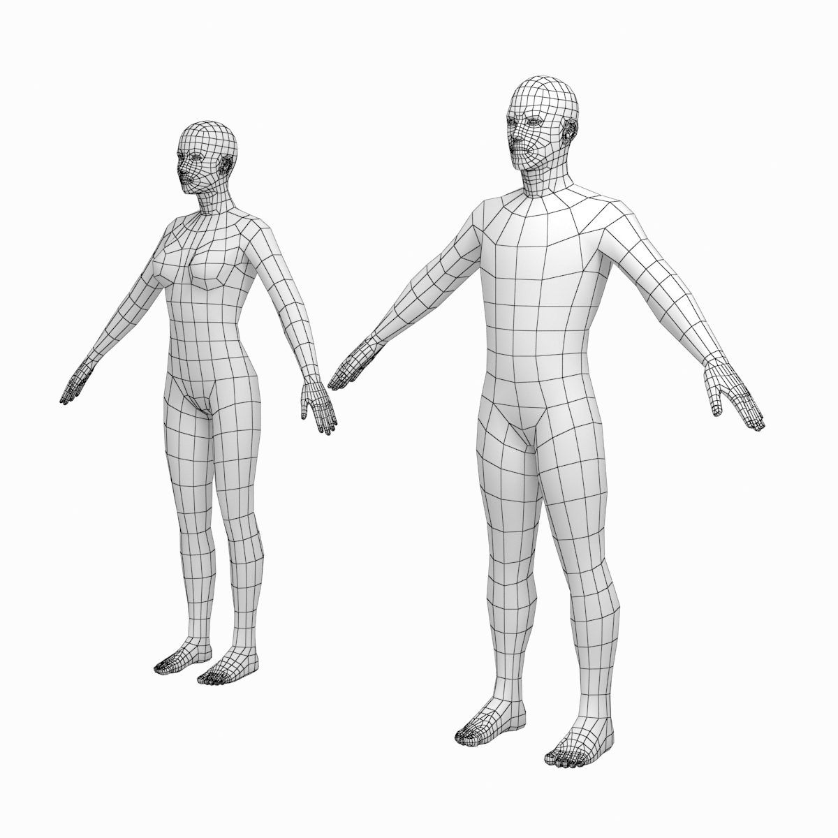 Base Human 3D Model Free - pigholre